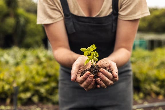 Relatiegeschenken voor groene vingers