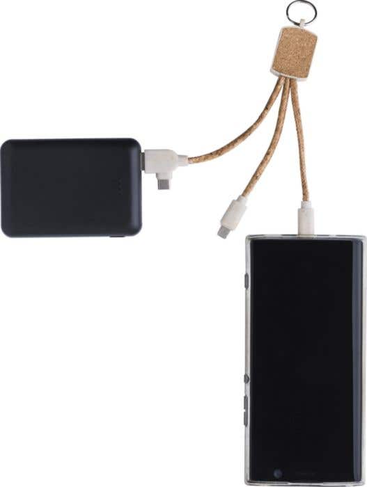 Câble de recharge Landry