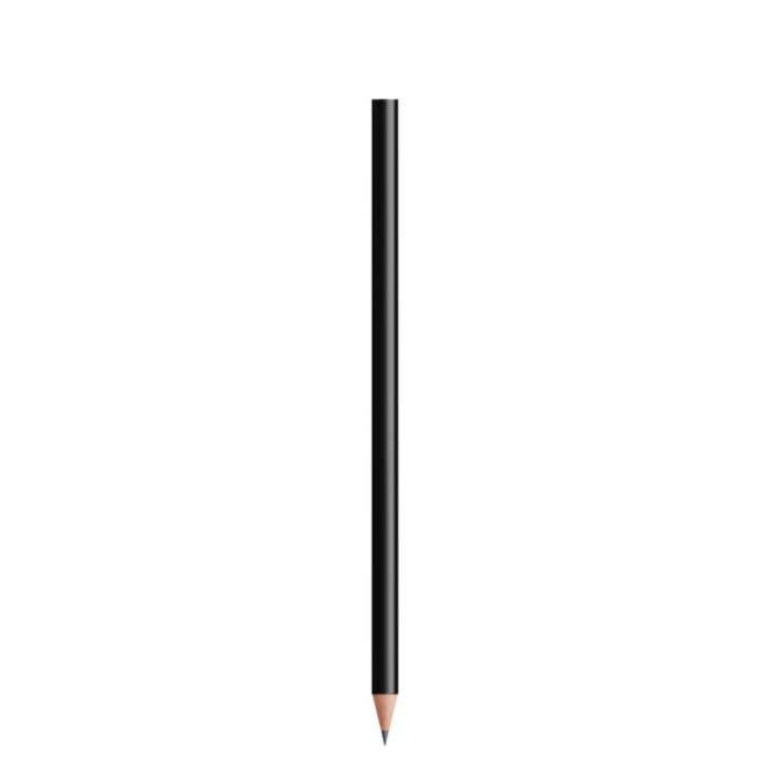 Crayon BIC Evo Ecolutions