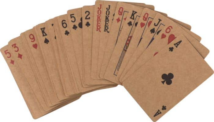 Kaartspel Ecoplay Double
