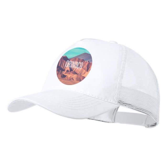 Baseball pet Clipak