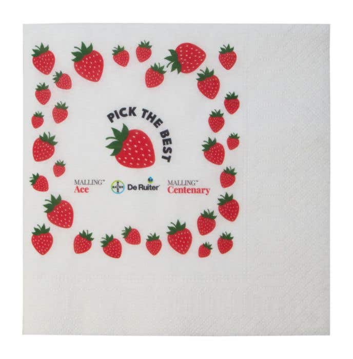 Servetten Tissue 33 x 33 cm (16,5 x 16,5 cm) 1/4 fold