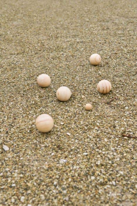 Petanque set Wood Quillian