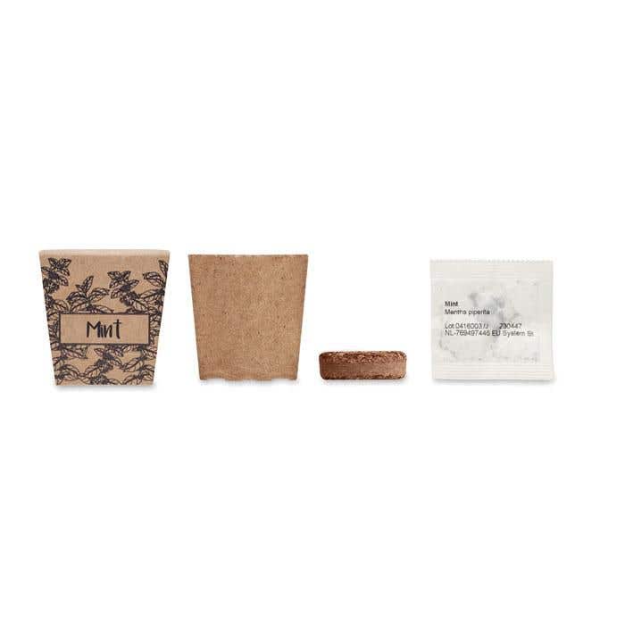 Kit de culture Mint Kit