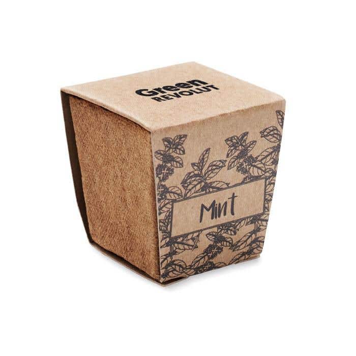 Kit de culture Mint Kit