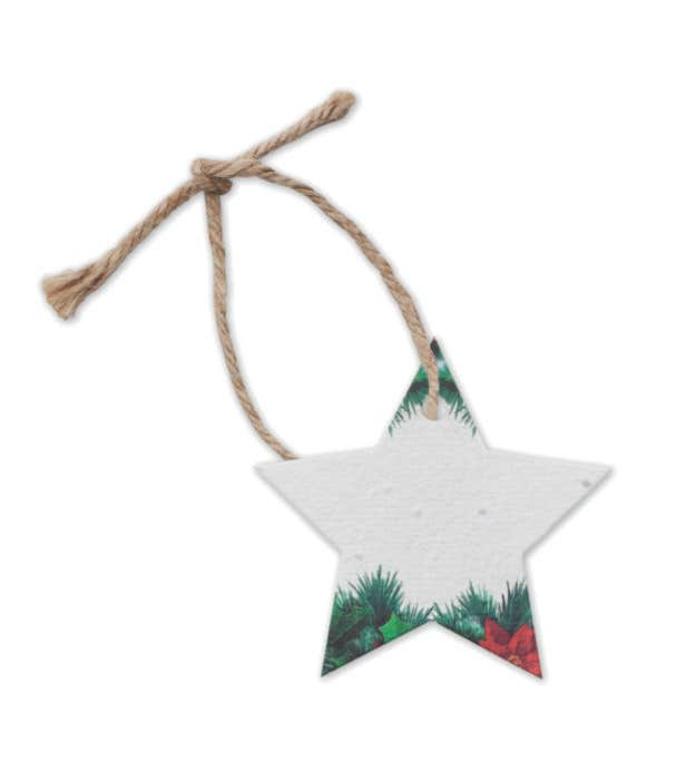 Papier semences Noël Starseed