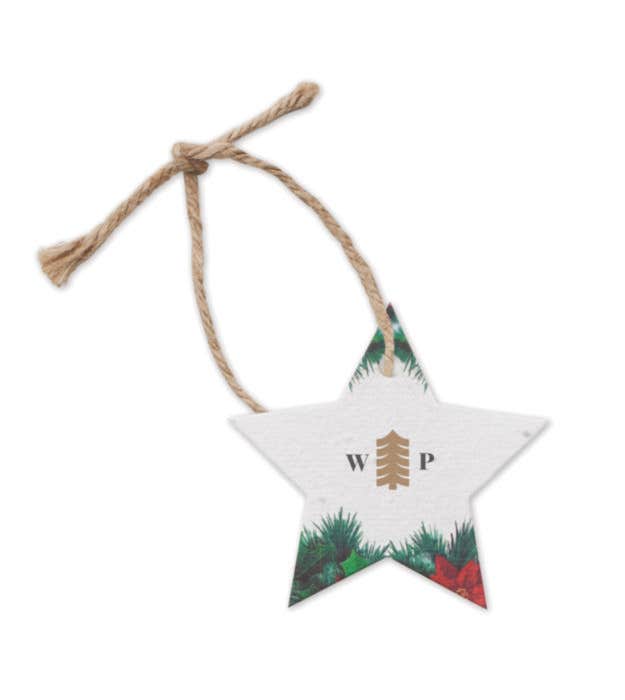 Bloemzaadpapier Kerstdeco Starseed