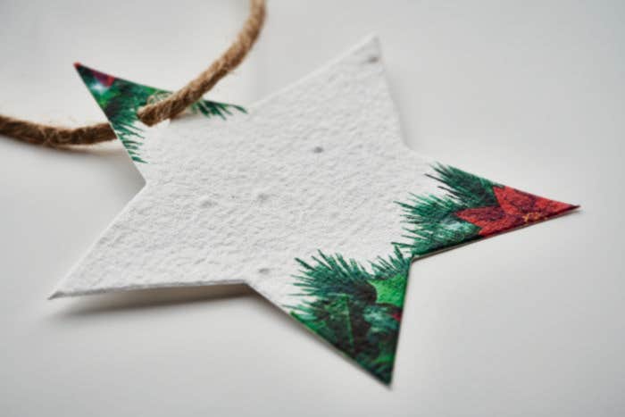 Bloemzaadpapier Kerstdeco Starseed