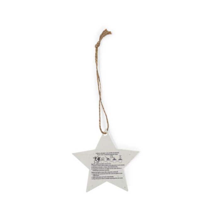 Kerstdecoratie Boster Seedpaper
