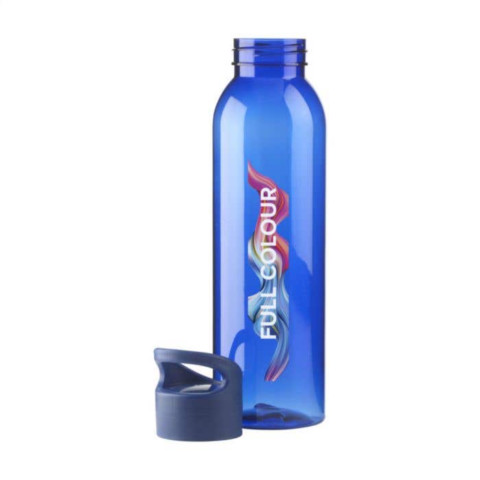 Gourde | Acier inoxydable | 650 ml | Isolation sous vide