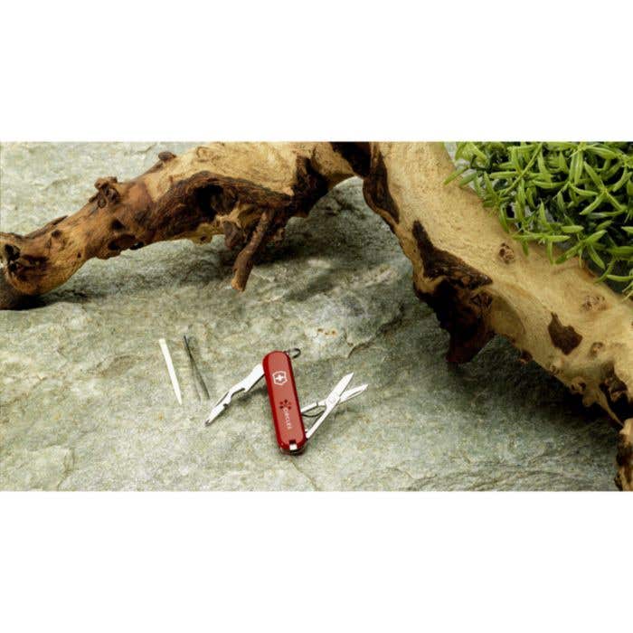 Outil de poche Victorinox Jetsetter | 7 fonctions