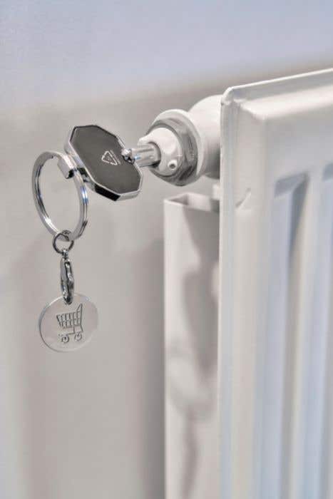 Sleutelhanger munt Radiator Pilea