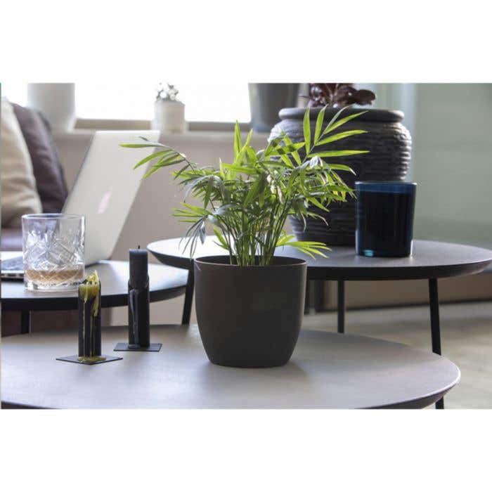 Pot de fleurs | Marc de café | Compostable