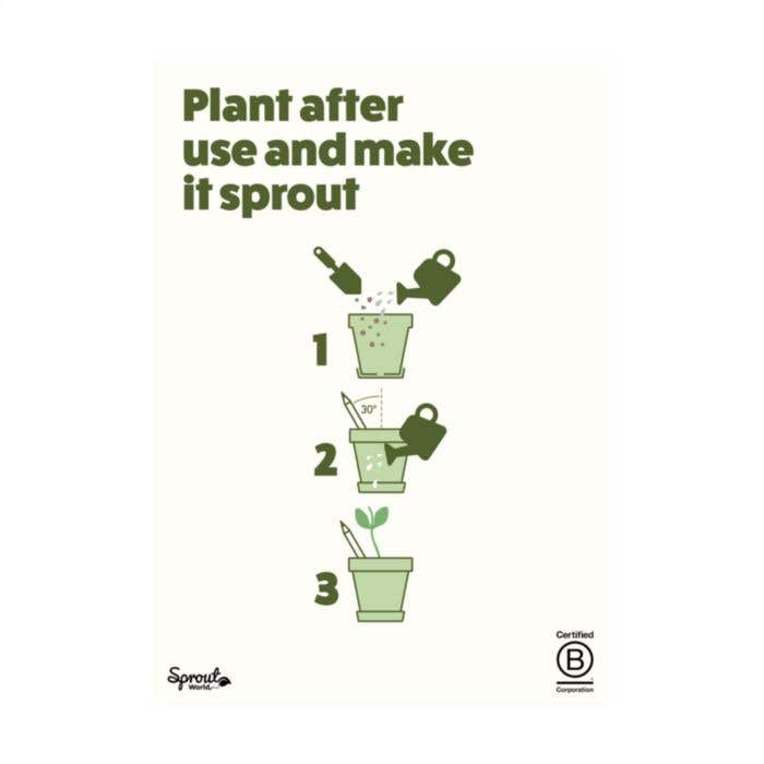 Crayon | Plantable | Avec graines