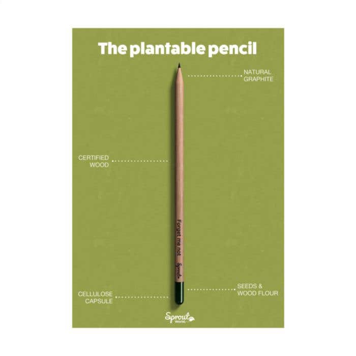 Crayon | Plantable | Avec graines