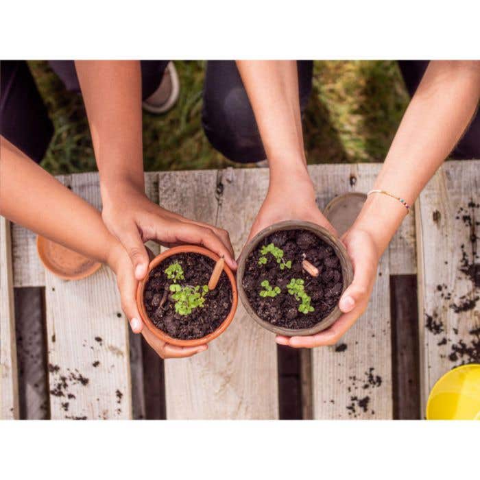 Crayon Sproutworld | Plantable | Avec graines