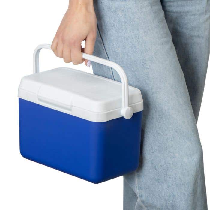 Koelbox Sunkissed 4L