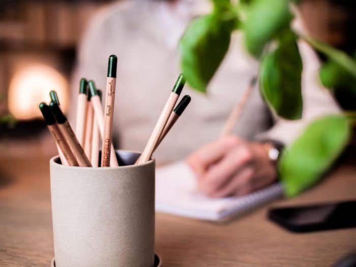 Crayon Sproutworld | Non taillé