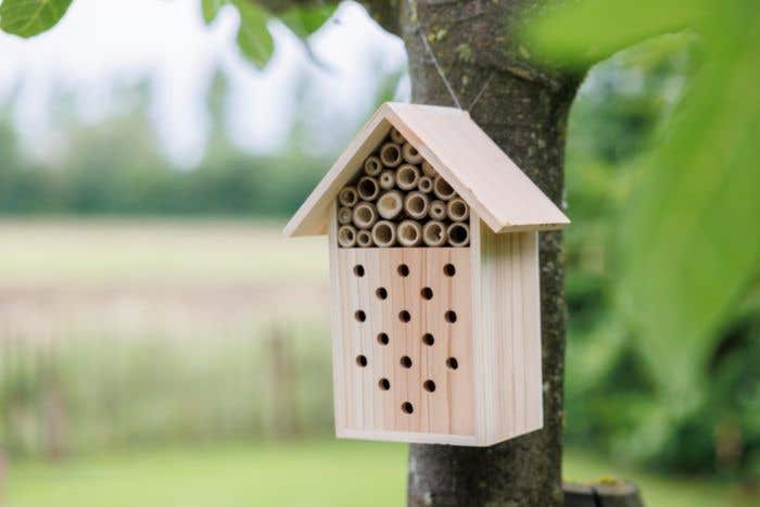 Hôtel à abeilles Fahim | Bois FSC® | Avec crochet de suspension