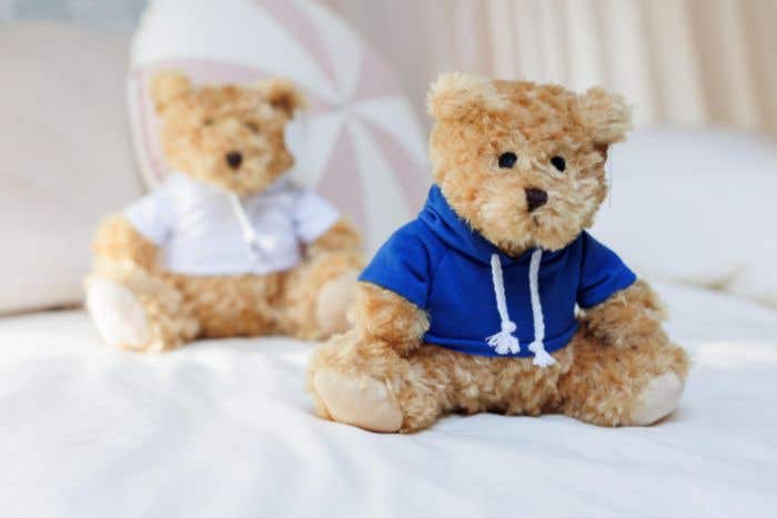 Knuffelbeer Hoodie | Met hoodie