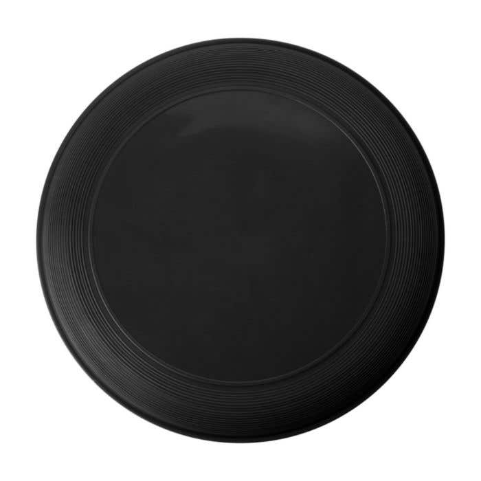 Frisbee Flyer
