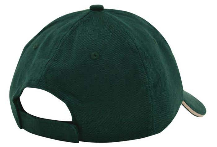 Baseball pet Skater kids