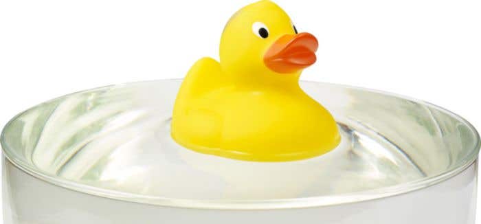 Badeendje Ducky