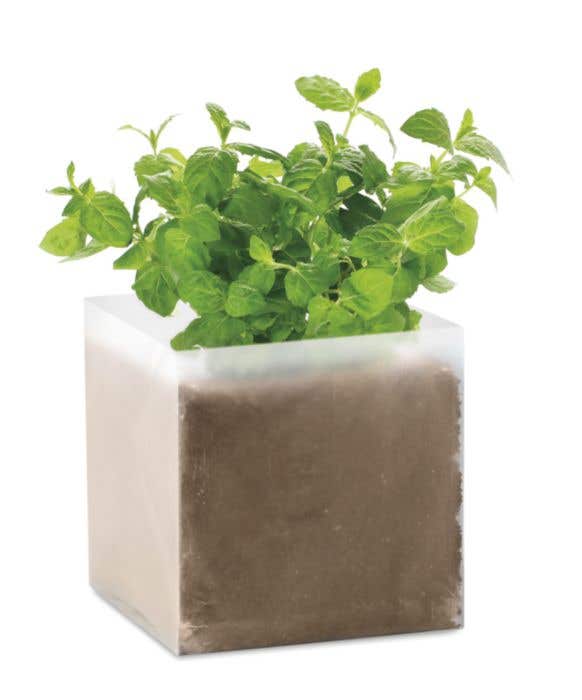 Sachet d'&eacute;pices Mint