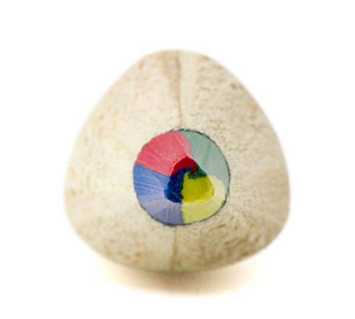 Potlood Rainbow | 4-in-1 kleuren | Hout