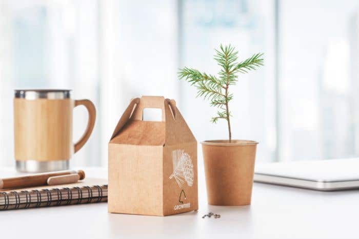 Geschenkdoos Growtree