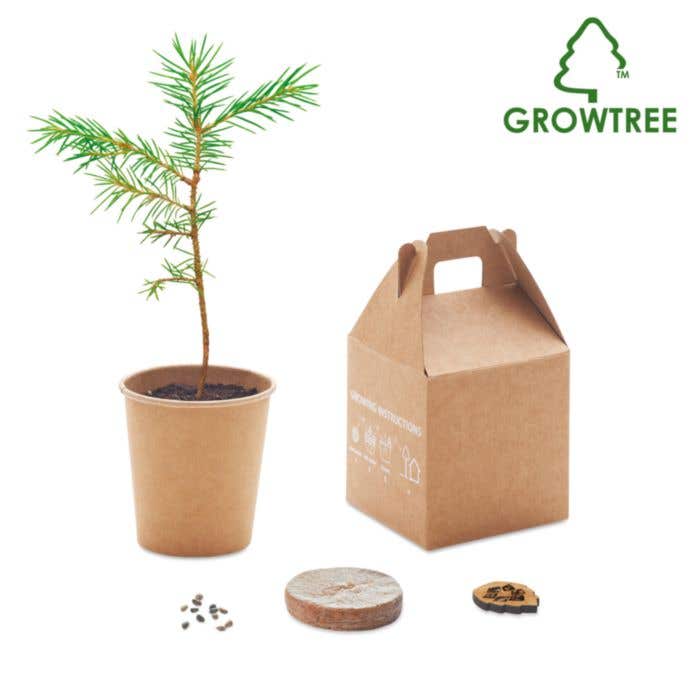 Geschenkdoos Growtree
