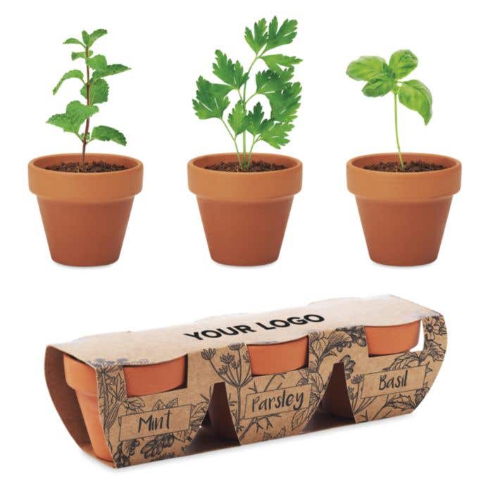 Kruidenset Especia Flowerpot