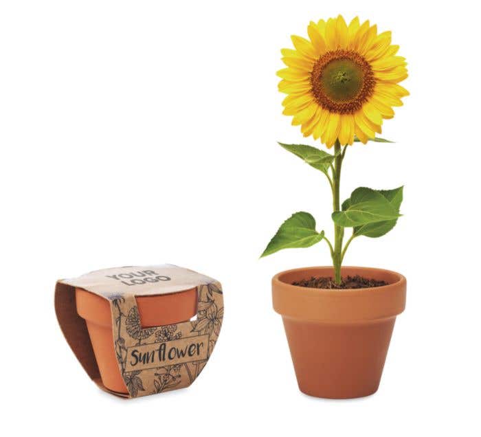 Bloempotje Sunflower