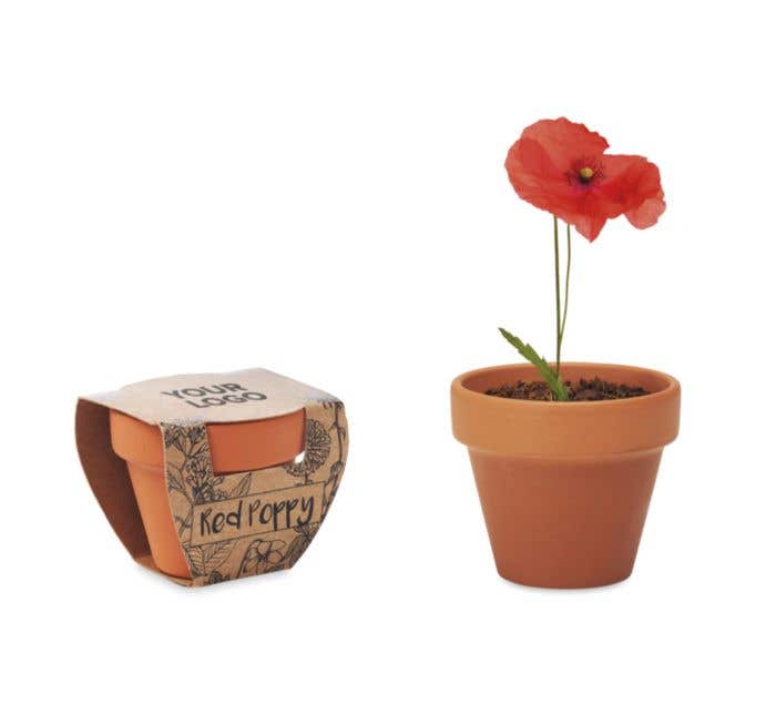Pot de graines Red Poppy