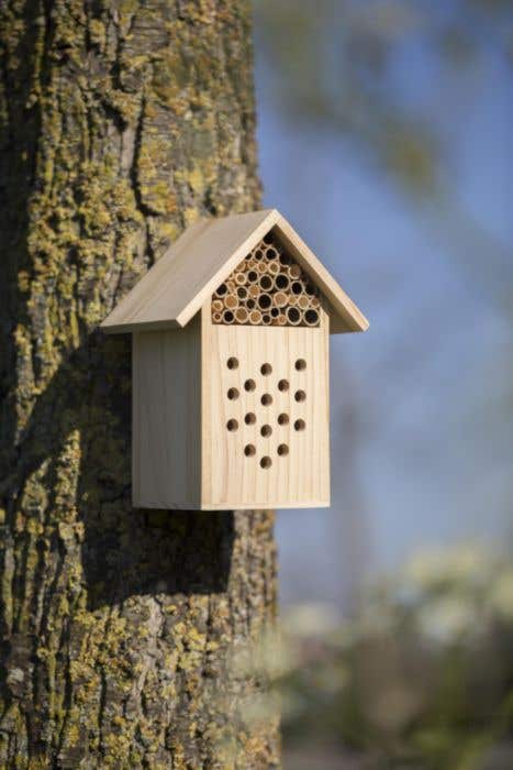 Bijenhotel Wooden Bee House