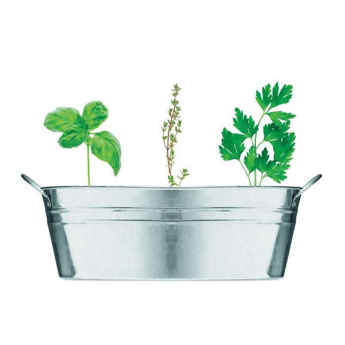 Plantenbakje Mix Seeds