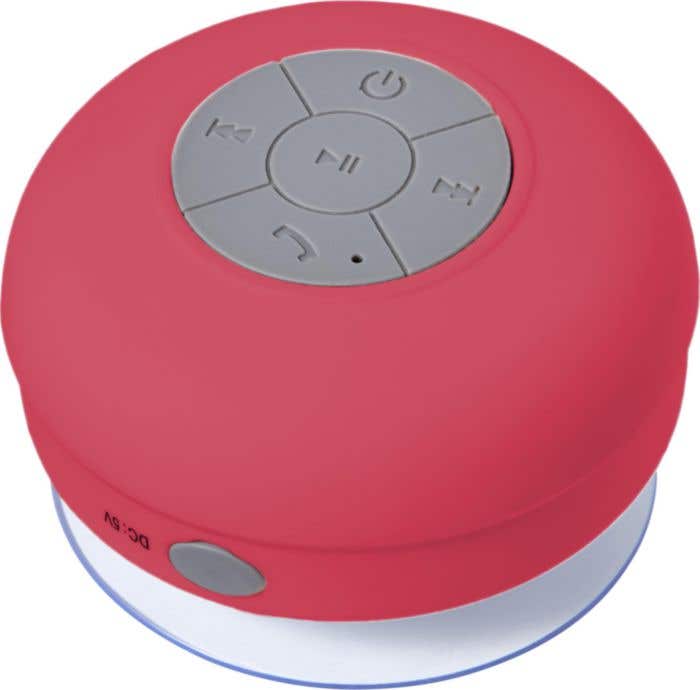 Speaker Sing-Shower
