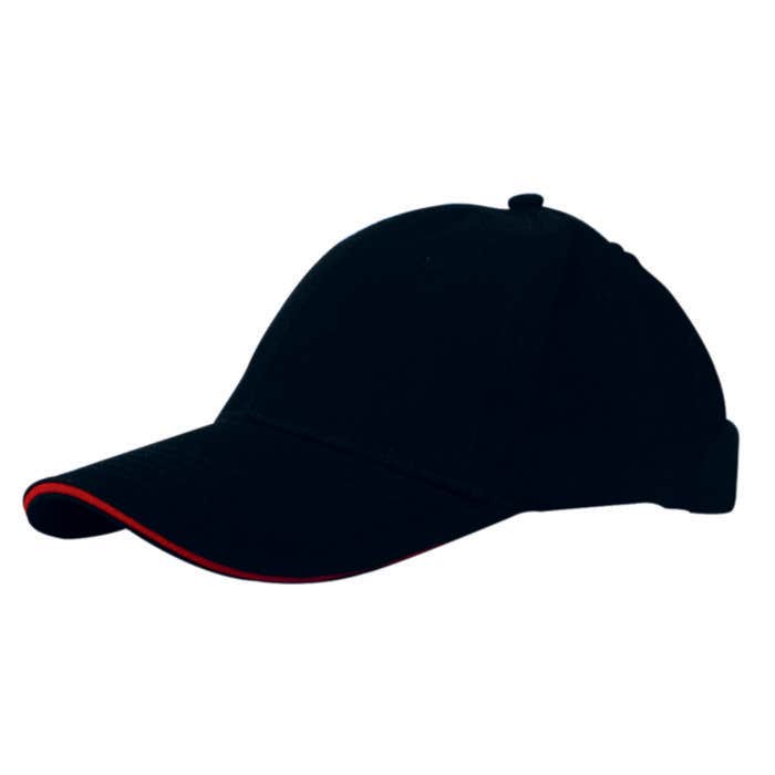 Baseball pet Boston